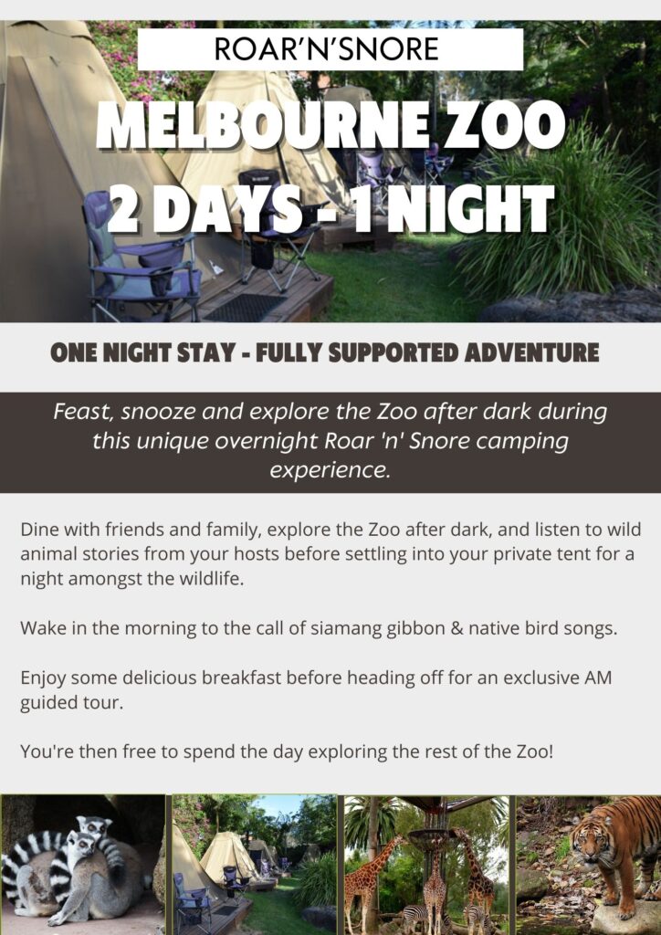 Roar'n'snore - Adventure Care Group