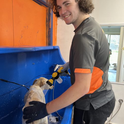 Adventure Care Group